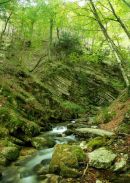 _Tenna Creek 1